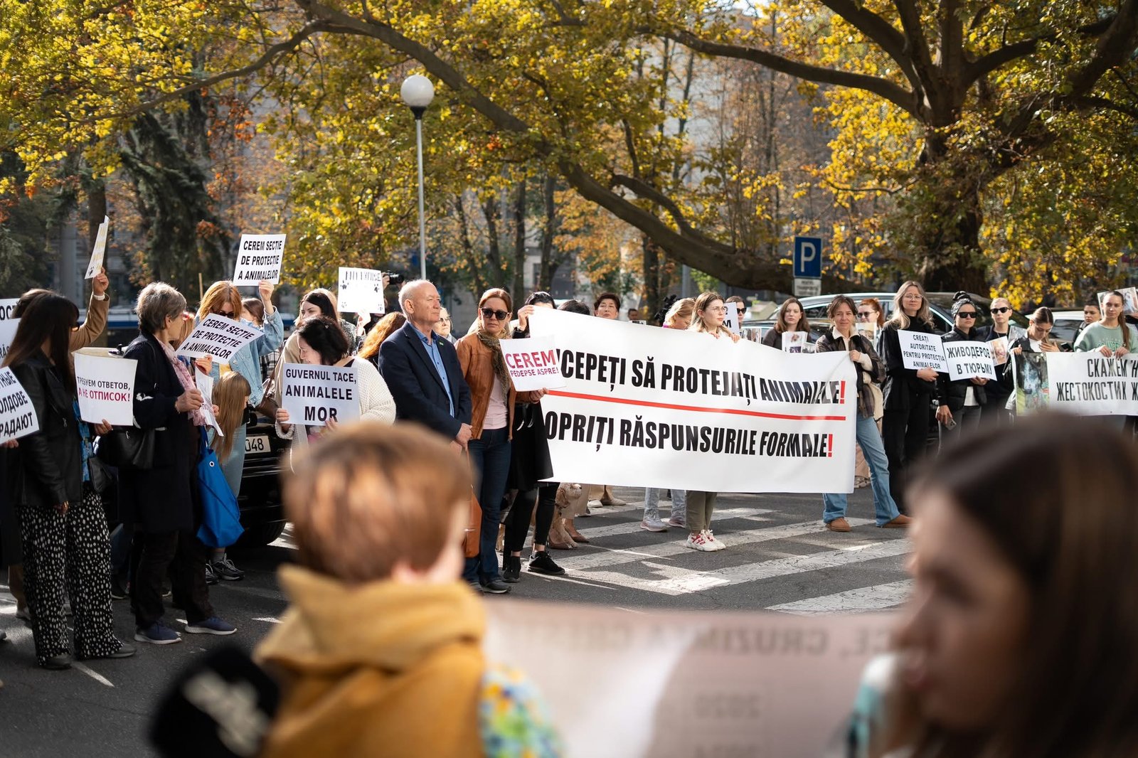 Protest la Guvern: cerințe pentru o structură națională de protecție a animalelor