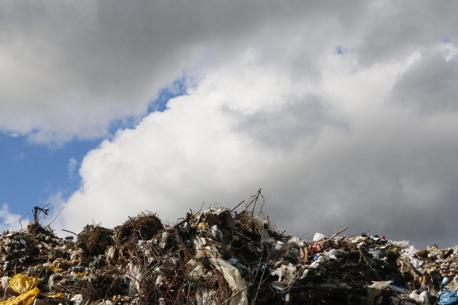 Investiții de până la 425.000 de euro pentru dezvoltarea reciclării în Republica Moldova
