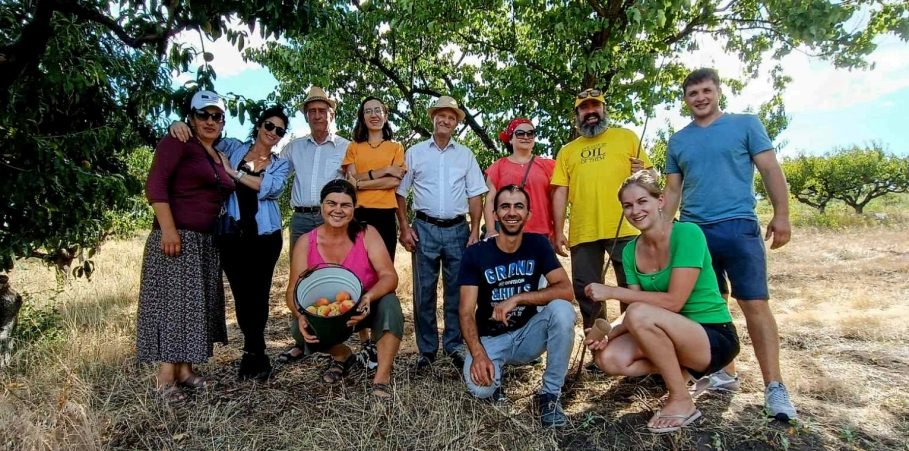 Cum pot adera agricultorii mici din Republica Moldova la sistemul PGS CERT și ce înseamnă acest model participativ