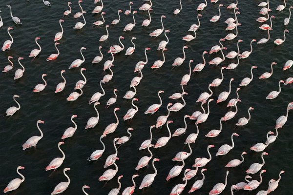 Proteste în Albania împotriva proiectului turistic de pe coasta Adriaticii, asociat familiei Trump