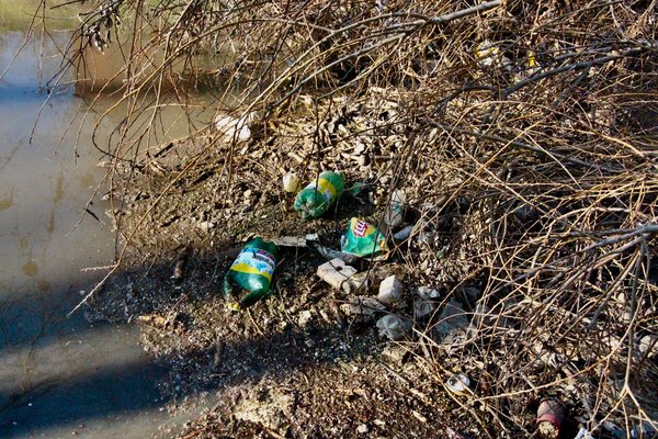 Voluntari chemați să curețe Parcul „La Izvor” din Chișinău