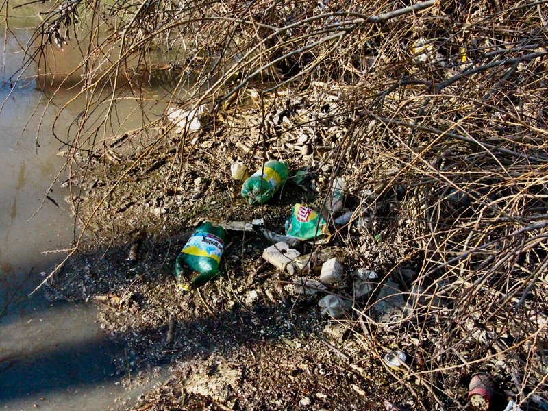 Voluntari chemați să curețe Parcul „La Izvor” din Chișinău