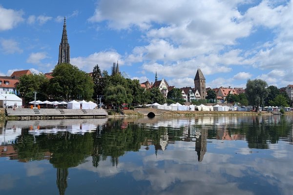 Povestea Dunării, spusă de ghizi care învață să asculte natura