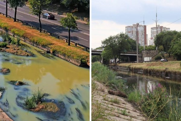 Poluare misterioasă pe râul Bîc: pești morți și apă colorată, fără sursă identificată