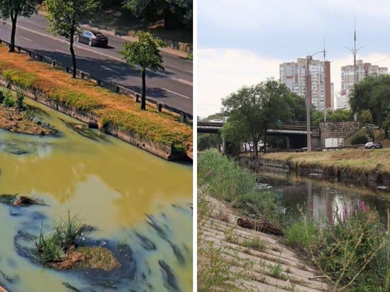 Poluare misterioasă pe râul Bîc: pești morți și apă colorată, fără sursă identificată