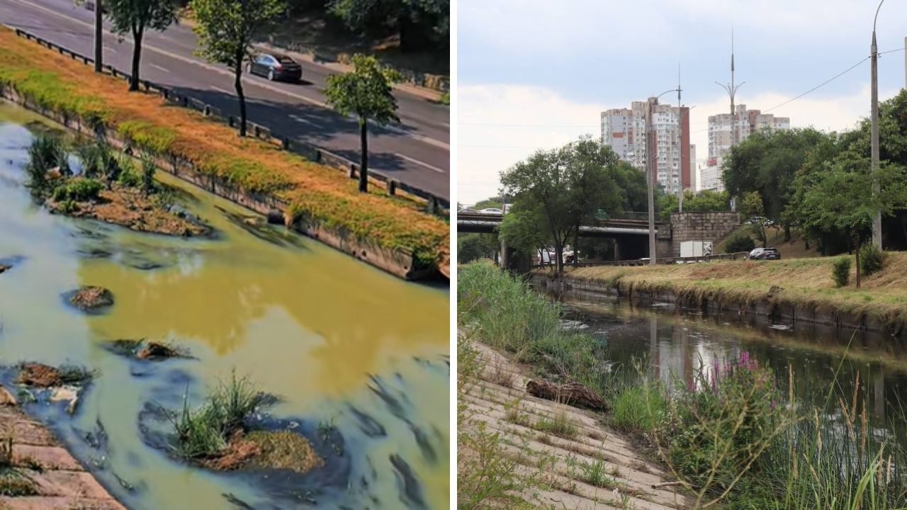 Poluare misterioasă pe râul Bîc: pești morți și apă colorată, fără sursă identificată