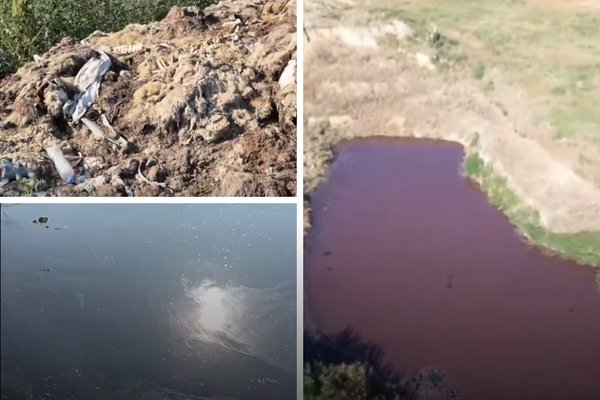 Ape suspecte și resturi animaliere la Comrat. IPM a demarat verificări