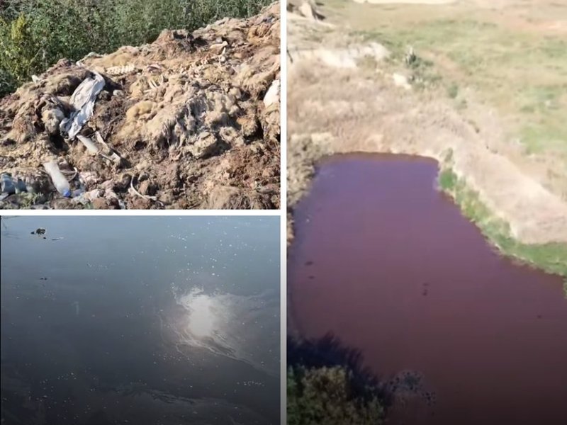 Ape suspecte și resturi animaliere la Comrat. IPM a demarat verificări