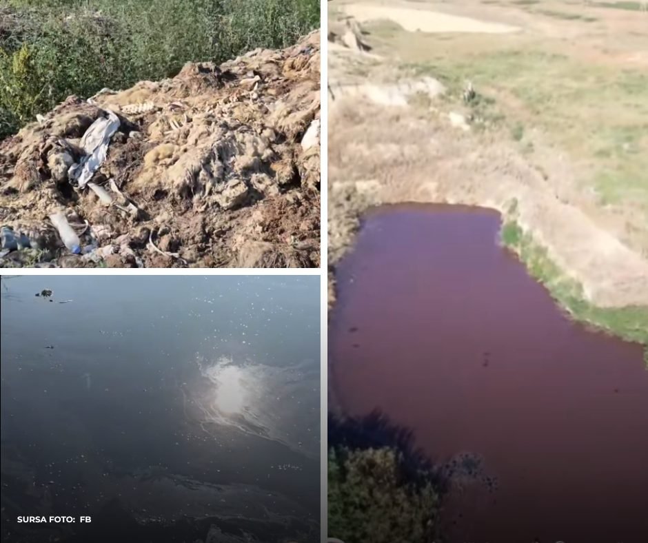 Ape suspecte și resturi animaliere la Comrat. IPM a demarat verificări