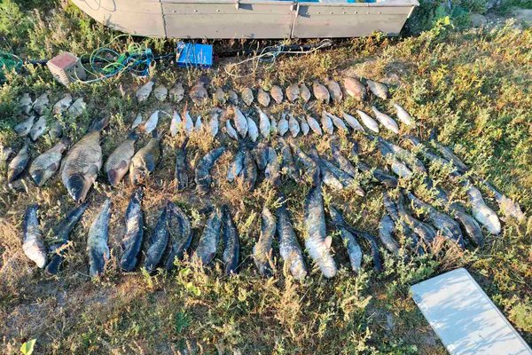 Braconaj cu curent electric pe Nistru: 55 kg de pește confiscat și prejudiciu de 372.500 lei