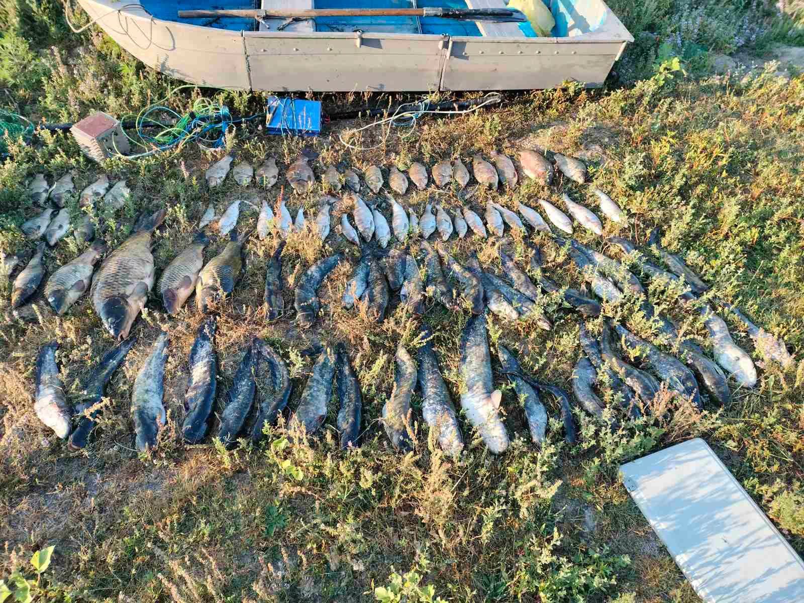 Braconaj cu curent electric pe Nistru: 55 kg de pește confiscat și prejudiciu de 372.500 lei