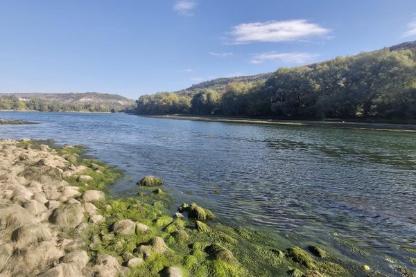 Aproape 20 de organizații de mediu cer autorităților un plan durabil pentru resursele de apă