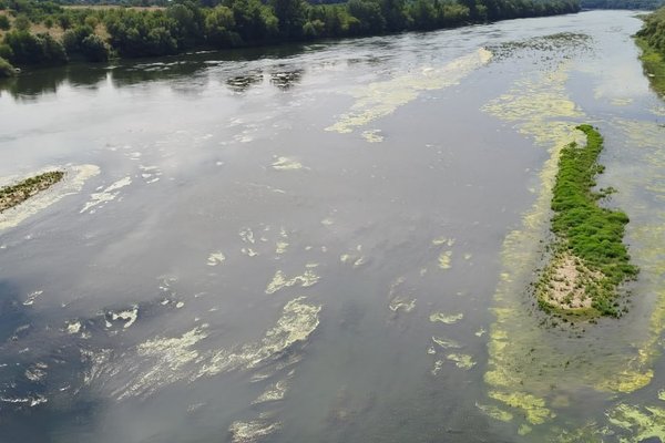 Alertă hidrologică pe 30 de zile: Nistrul atinge cote critice din cauza schimbărilor climatice