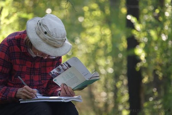 Doliu și speranță climatică, explorate printr-un atelier de scriere creativă