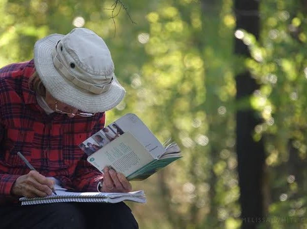 Doliu și speranță climatică, explorate printr-un atelier de scriere creativă